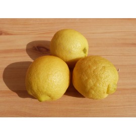 Citron Bio