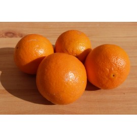 Orange Navelate Bio