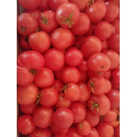 Tomate ronde rouge bio 500gr